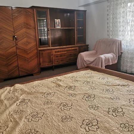 Ferienwohnung Garsoniera Craiova Exterior foto